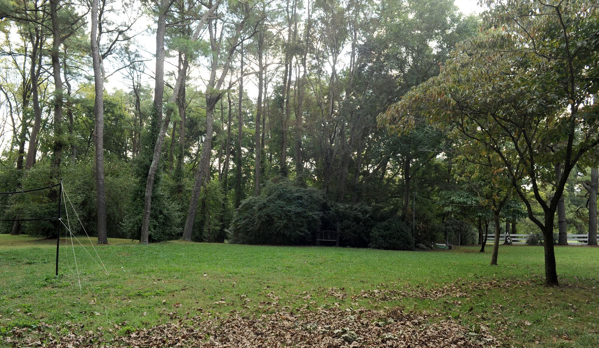 Un parc avec de grands arbres, une pelouse et une clôture blanche.