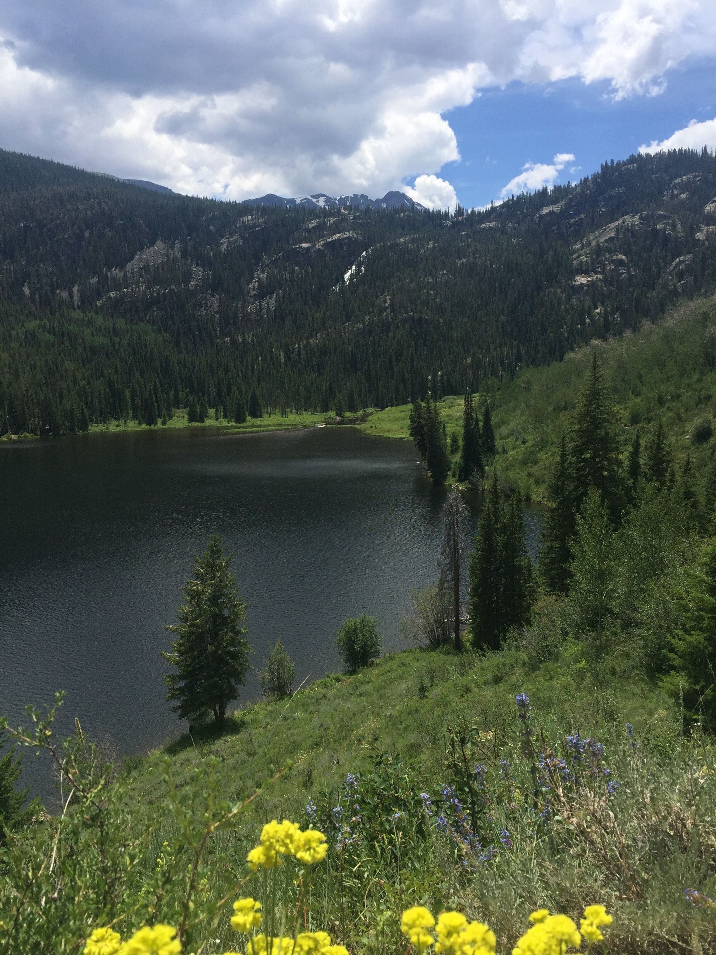 A lake surrounded by dense forest and mountains.
