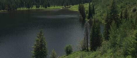 A lake surrounded by dense forest and mountains.