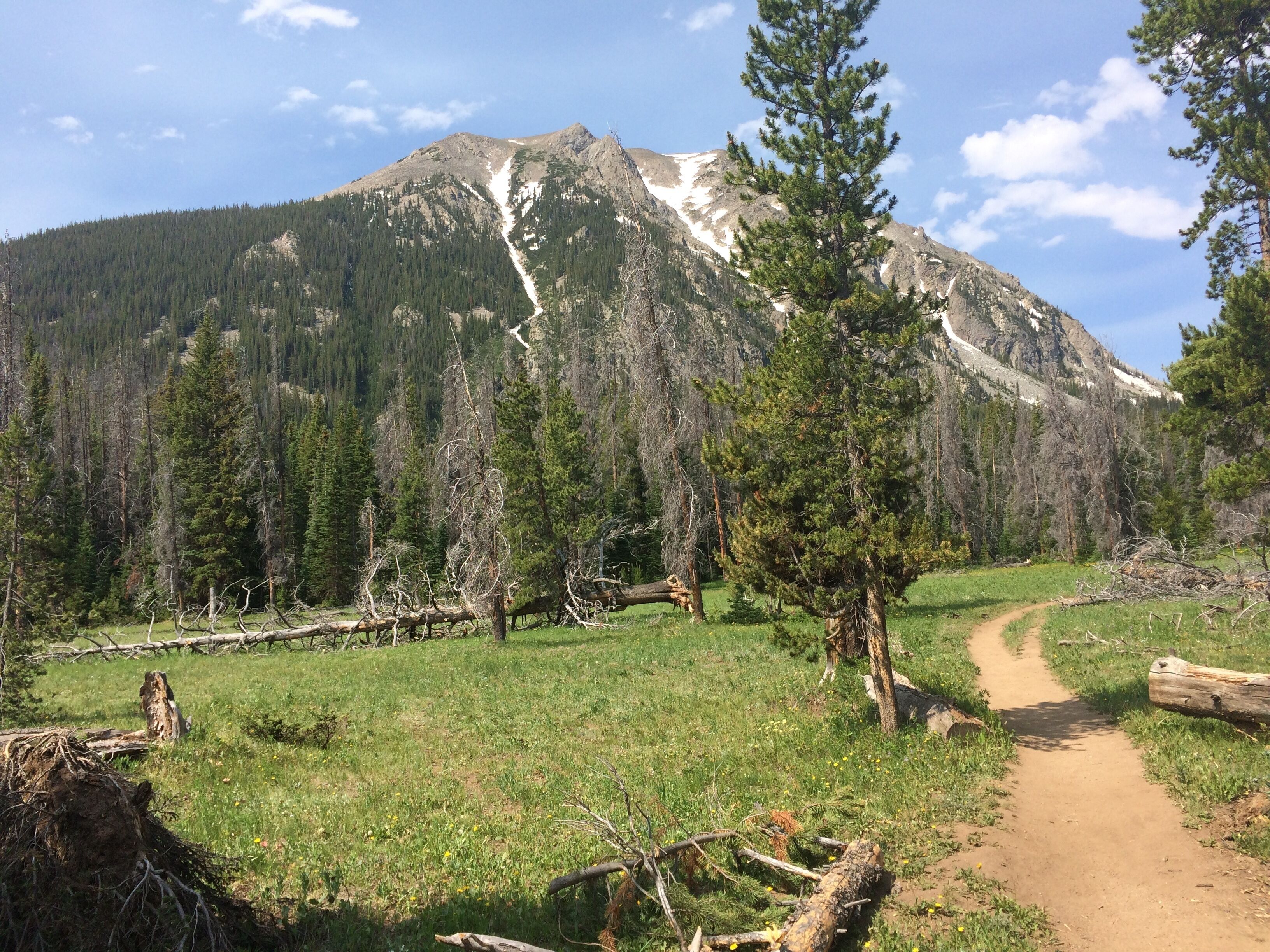 A mountain path with trees and a clear sky.