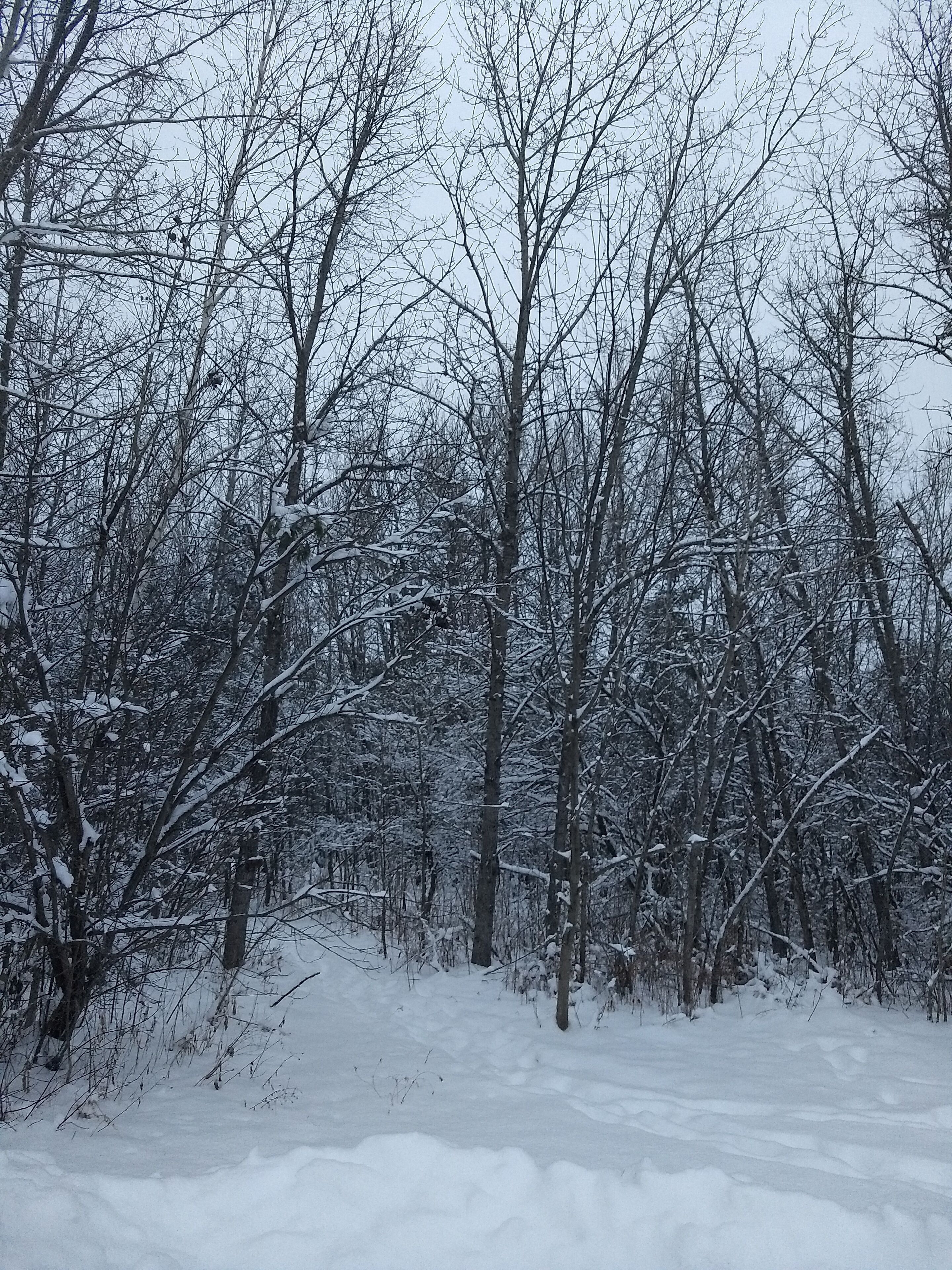 Esportes de neve e esqui