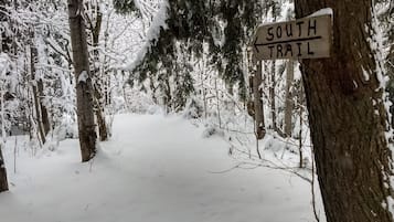 Ulkoalueet