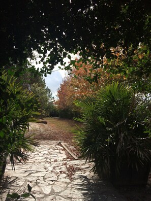 Property grounds - The Shebeen A small Irish cottage,come experience the enchantment and trnquility (Brooksville)