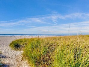 Une plage avec du sable et de l’herbe au premier plan, et l’océan en arrière-plan.