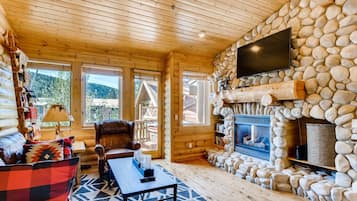 TV, fireplace, books