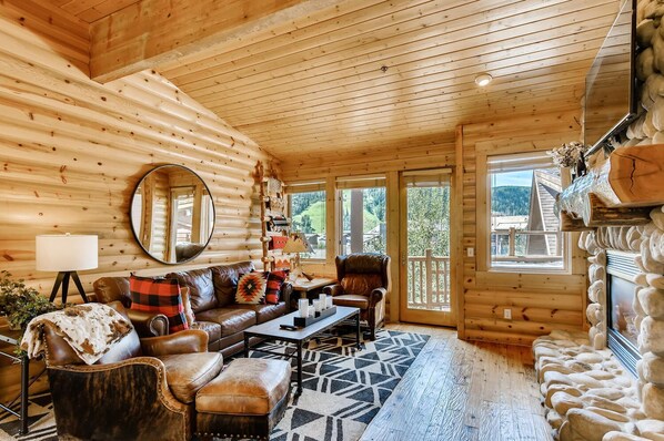 Televisión, chimenea y libros 