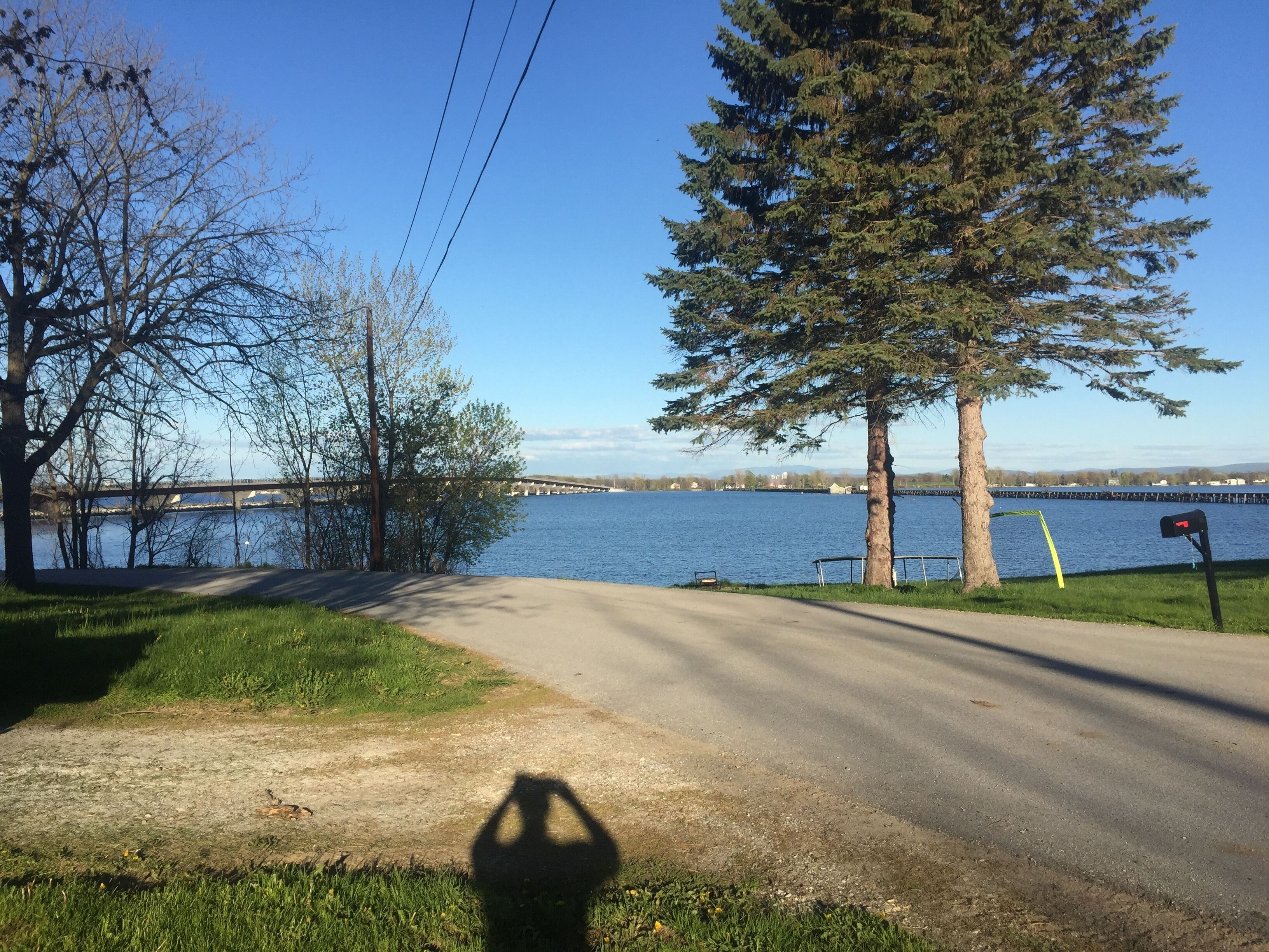 A pathway leading to a lake with a bridge in the background.