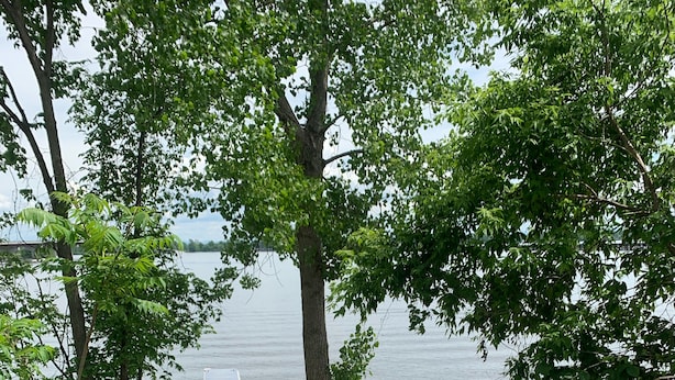 A wooden deck with a railing overlooking a calm lake, surrounded by trees and vegetation. - Year Round Lakeview Cottage with Dock on Lake Champlain (Alburg)