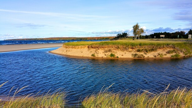 A coastal landscape with a sandy beach, grassy dunes, and a body of water.