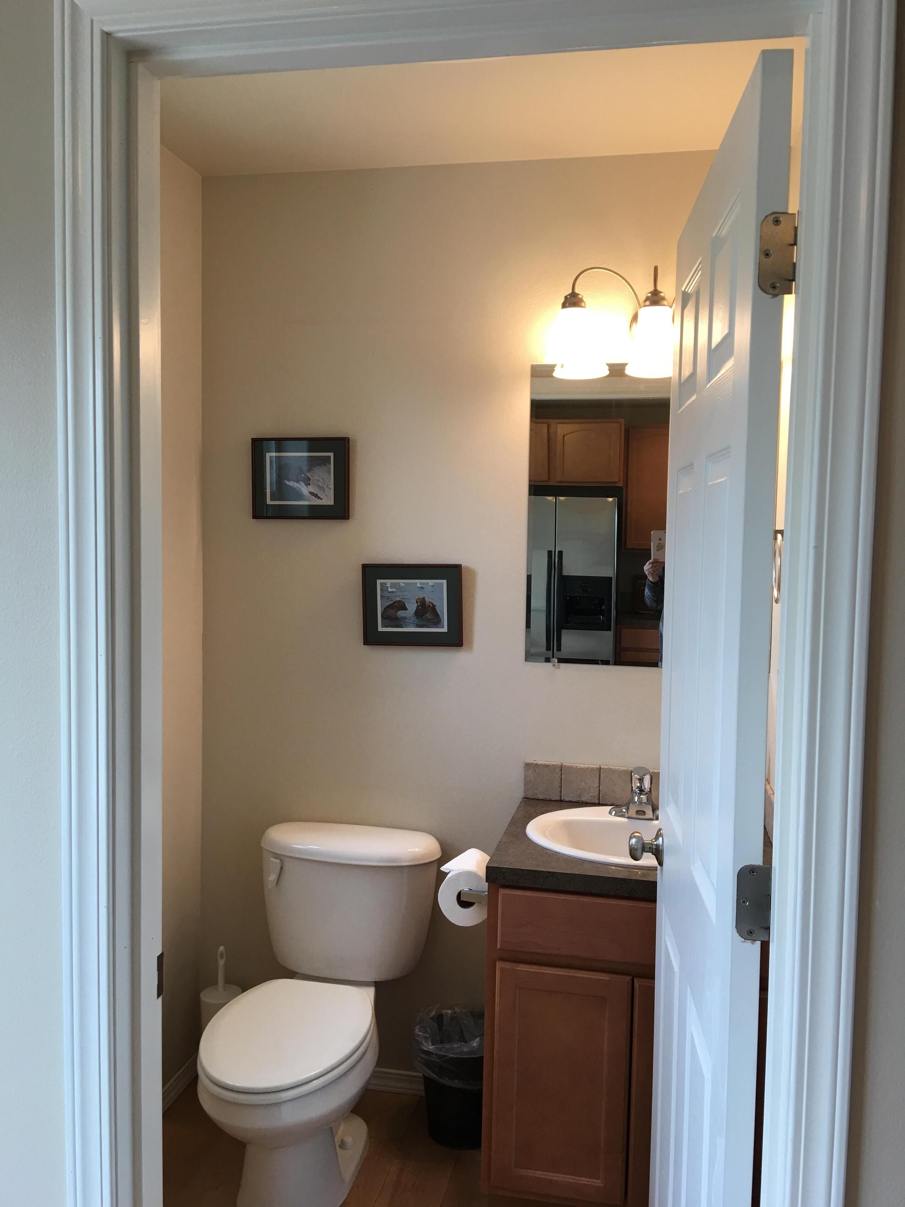 A small bathroom with a toilet, sink, and mirror. There are two framed pictures on the wall.