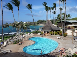 Outdoor pool, a heated pool - BOOK NOW for reduced prices for Napili Shores Resort Studio (Lahaina)