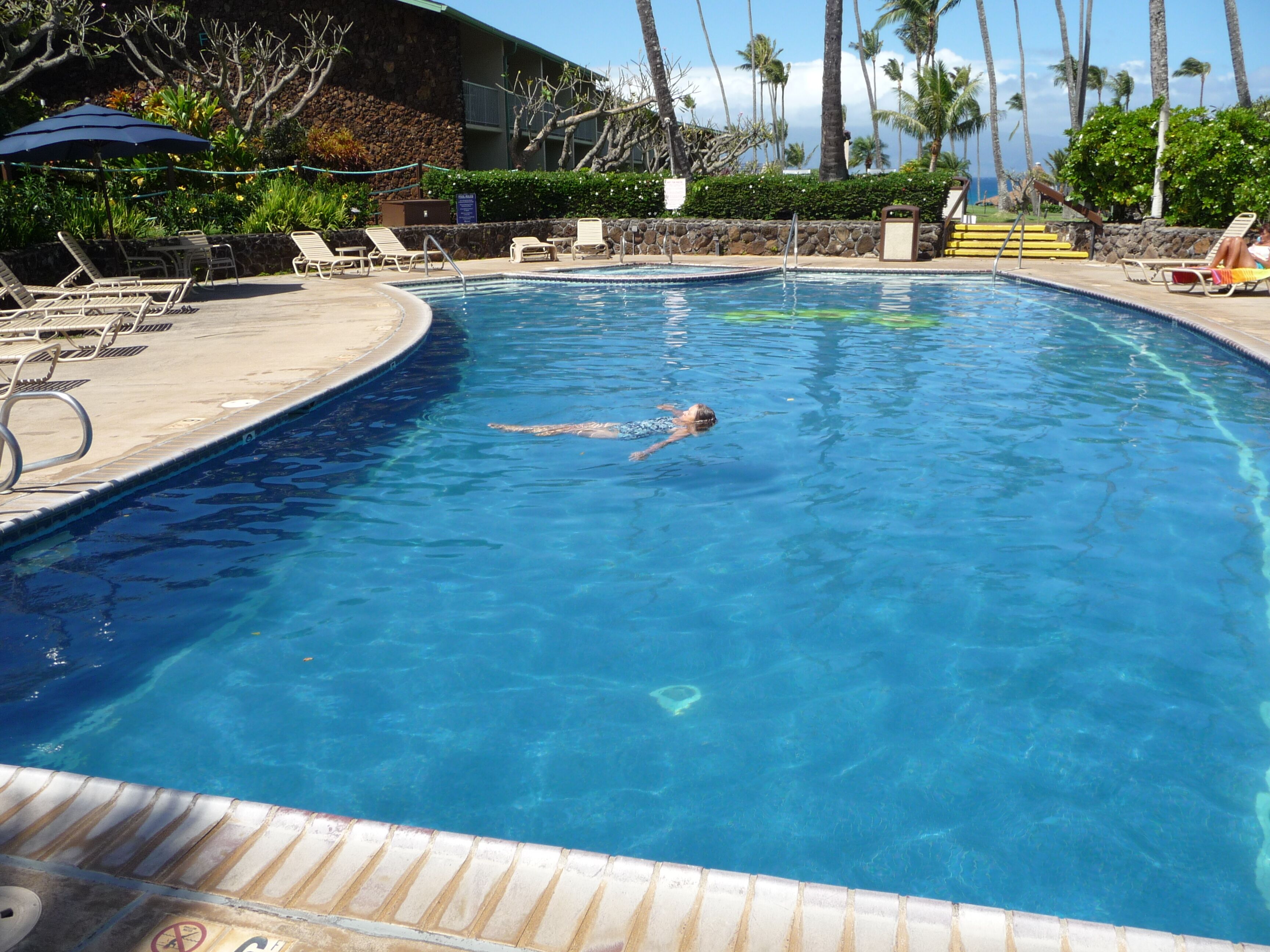 Une piscine où une personne nage, avec des chaises longues et des palmiers en arrière-plan.