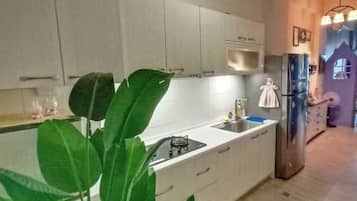 Fridge, electric kettle