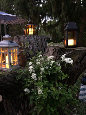 A garden with a wooden structure, lanterns, and white flowers. - Port Huron - Sandy Feet Cottage, steps to Lake Huron (Fort Gratiot Township)