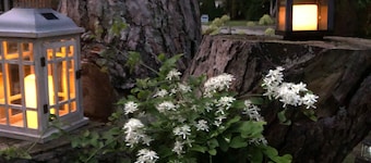 Port Huron - Sandy Feet Cottage, steps to Lake Huron