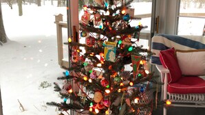 Un sapin de Noël décoré dans une pièce d’où l’on peut admirer un paysage enneigé.