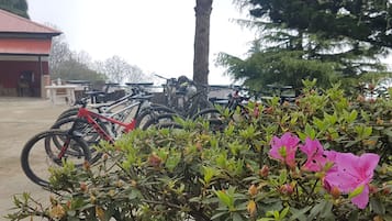 Ciclismo