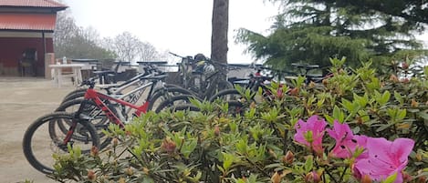 Bicycling