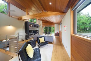 Televisión de pantalla plana, Netflix, reproductor de DVD