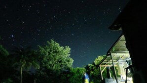 A night scene with multiple tents set up in a grassy area under a starry sky. - Tomarigi - Hostel (Yakushima)
