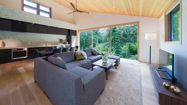 Een moderne woonkamer met een grijze bank, een salontafel en een televisie op een houten standaard. Er is een groot raam met uitzicht op groen.