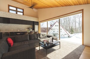 Televisión de pantalla plana, Netflix, reproductor de DVD