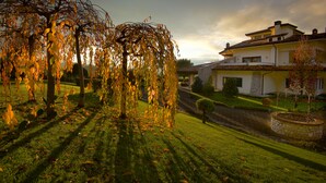 Un jardín bien cuidado con un sauce llorón, una fuente de piedra y una casa moderna con techo de tejas.