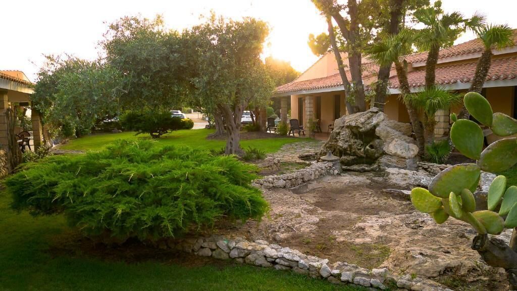 Un jardín con un muro de piedra, un cactus y un árbol.