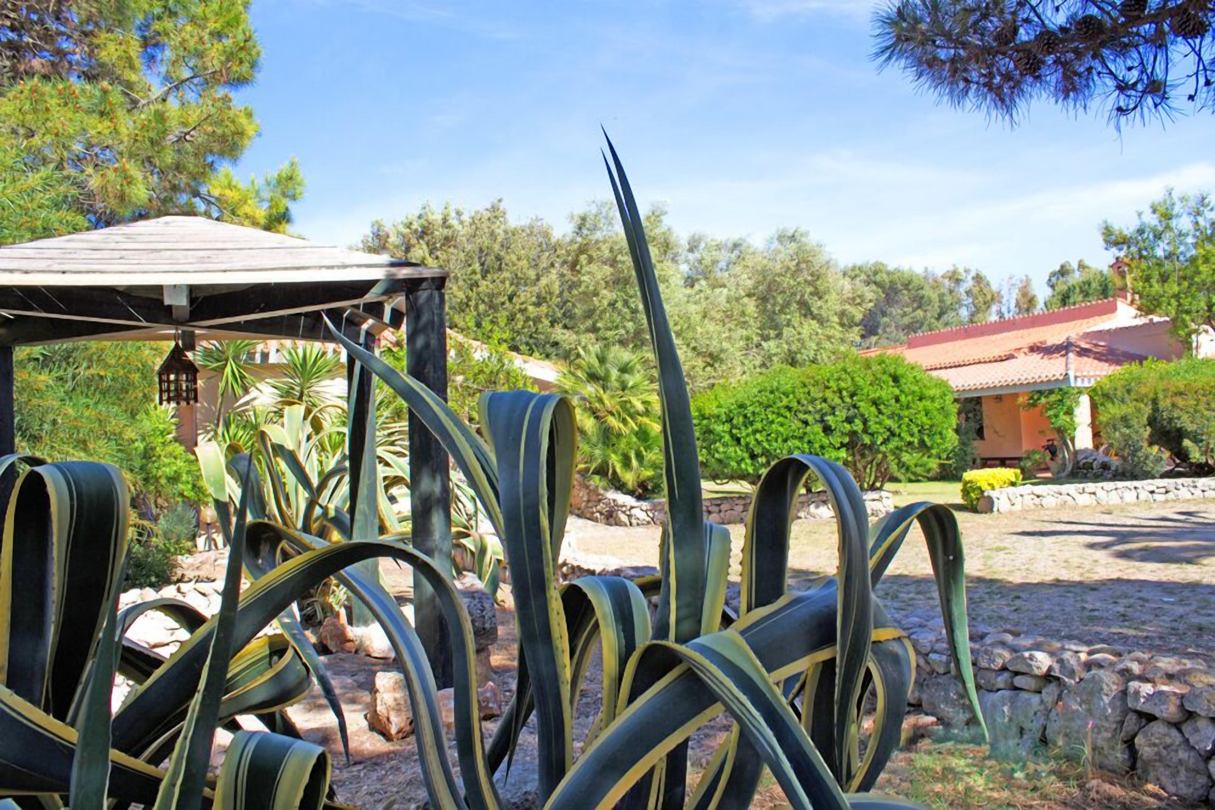 Un jardin avec de grandes plantes vertes, un belvédère et un bâtiment doté d’un toit rouge.