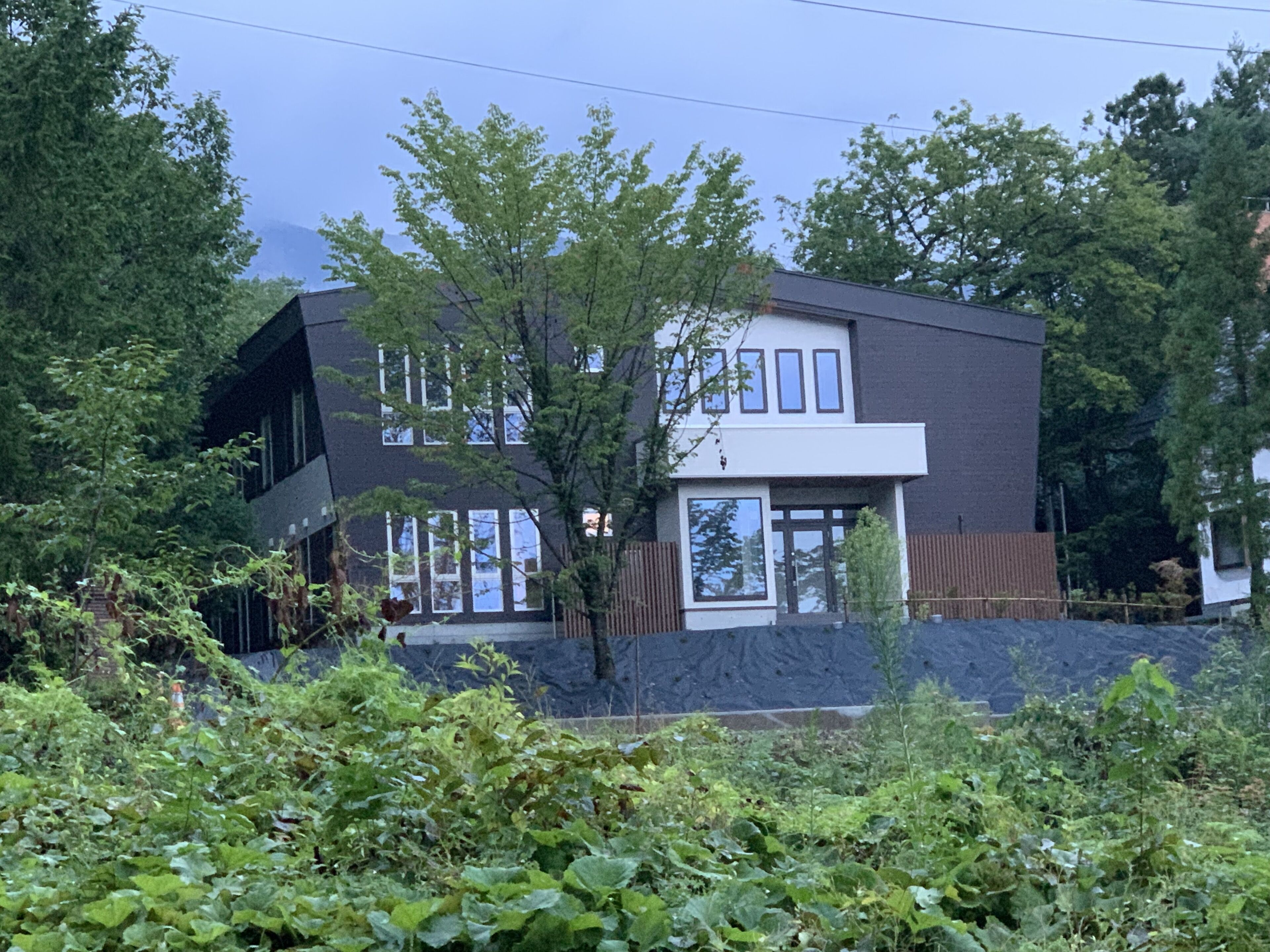 A modern two-story house with a large window and a tree in front.