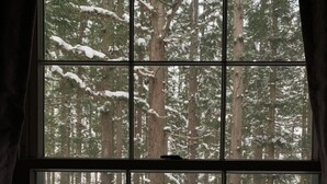Ein Fenster mit Blick auf einen verschneiten Wald.