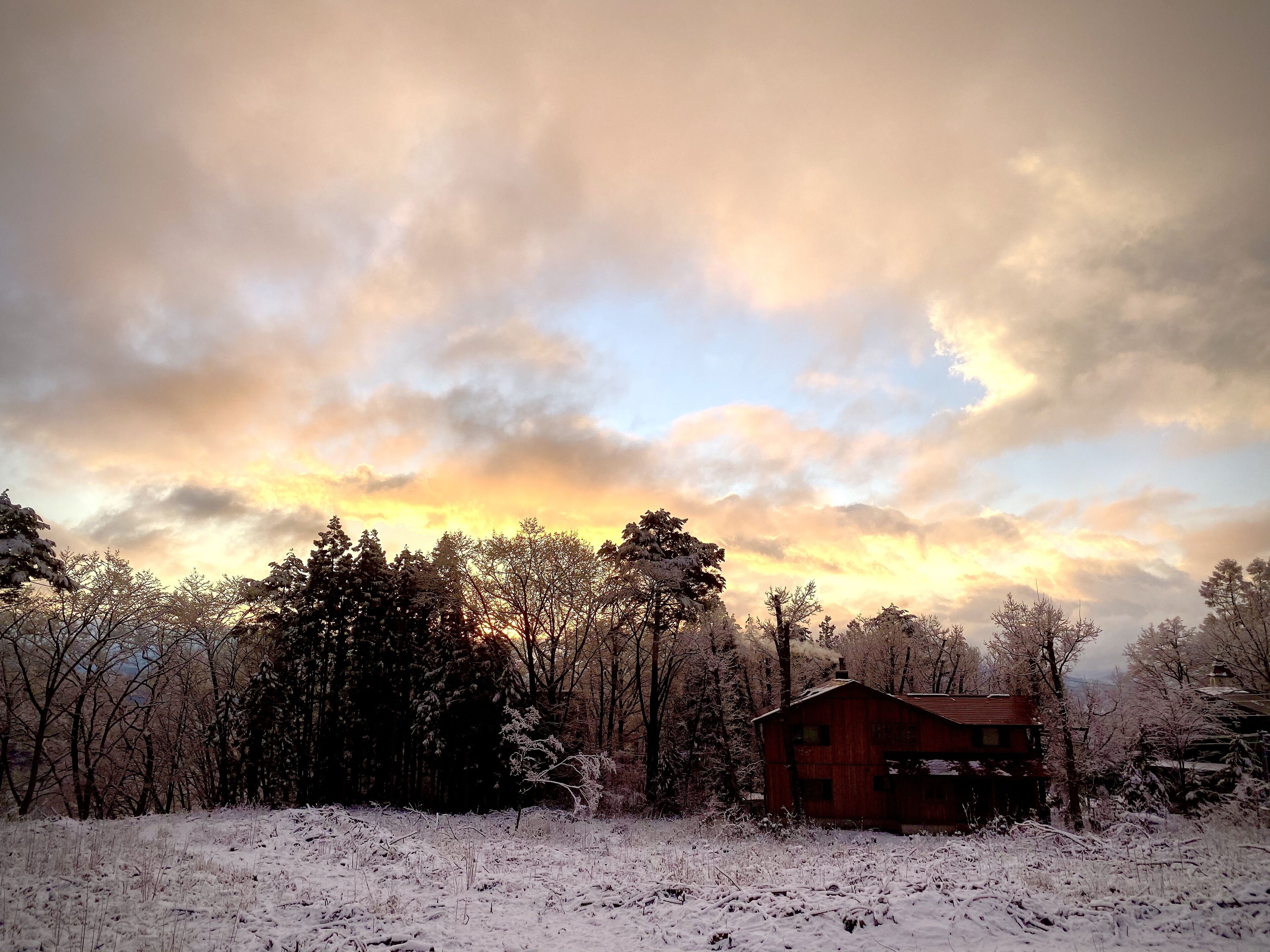 A rustic cabin surrounded by snow-covered trees and a cloudy sky.