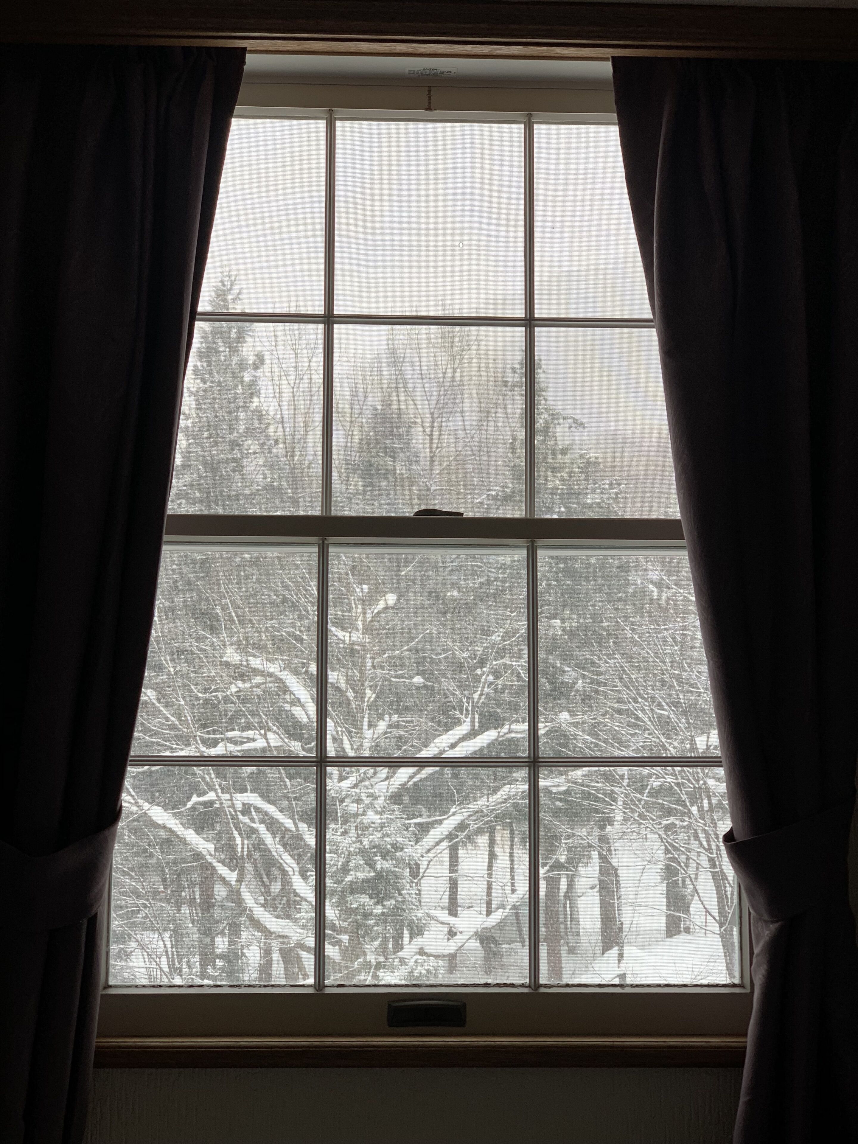 premium bedding, in-room safe, blackout curtains, soundproofing