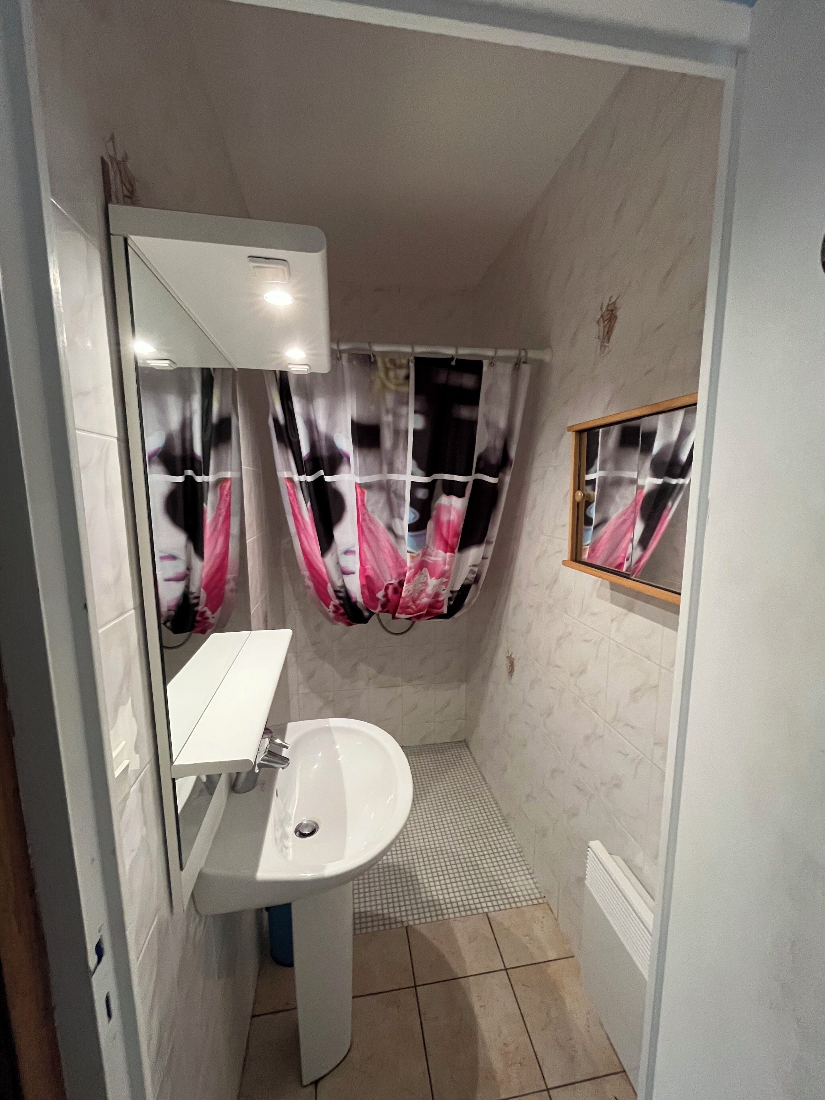 Un bagno con lavandino bianco, uno specchio, una tenda da doccia con motivo floreale e pavimento piastrellato.