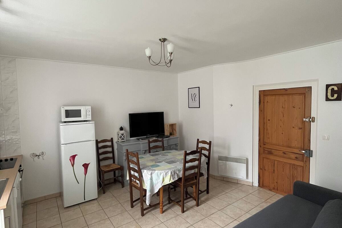 A compact living space with a kitchenette, a dining area with a table and chairs, a television, and a sofa.
