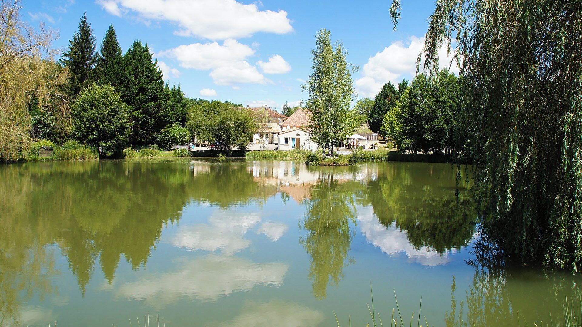 A calm lake with reflections of trees and buildings, surrounded by greenery and clear skies.