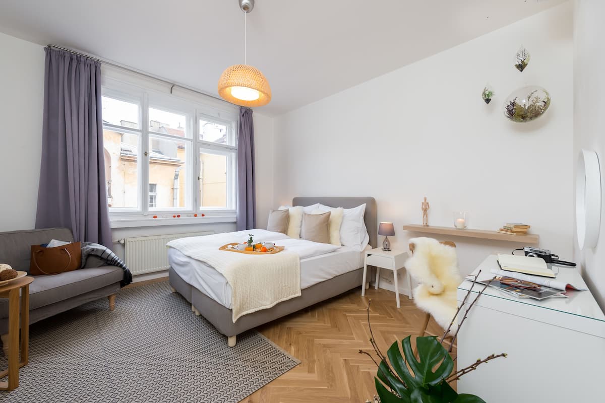 Studio, 1 King Bed