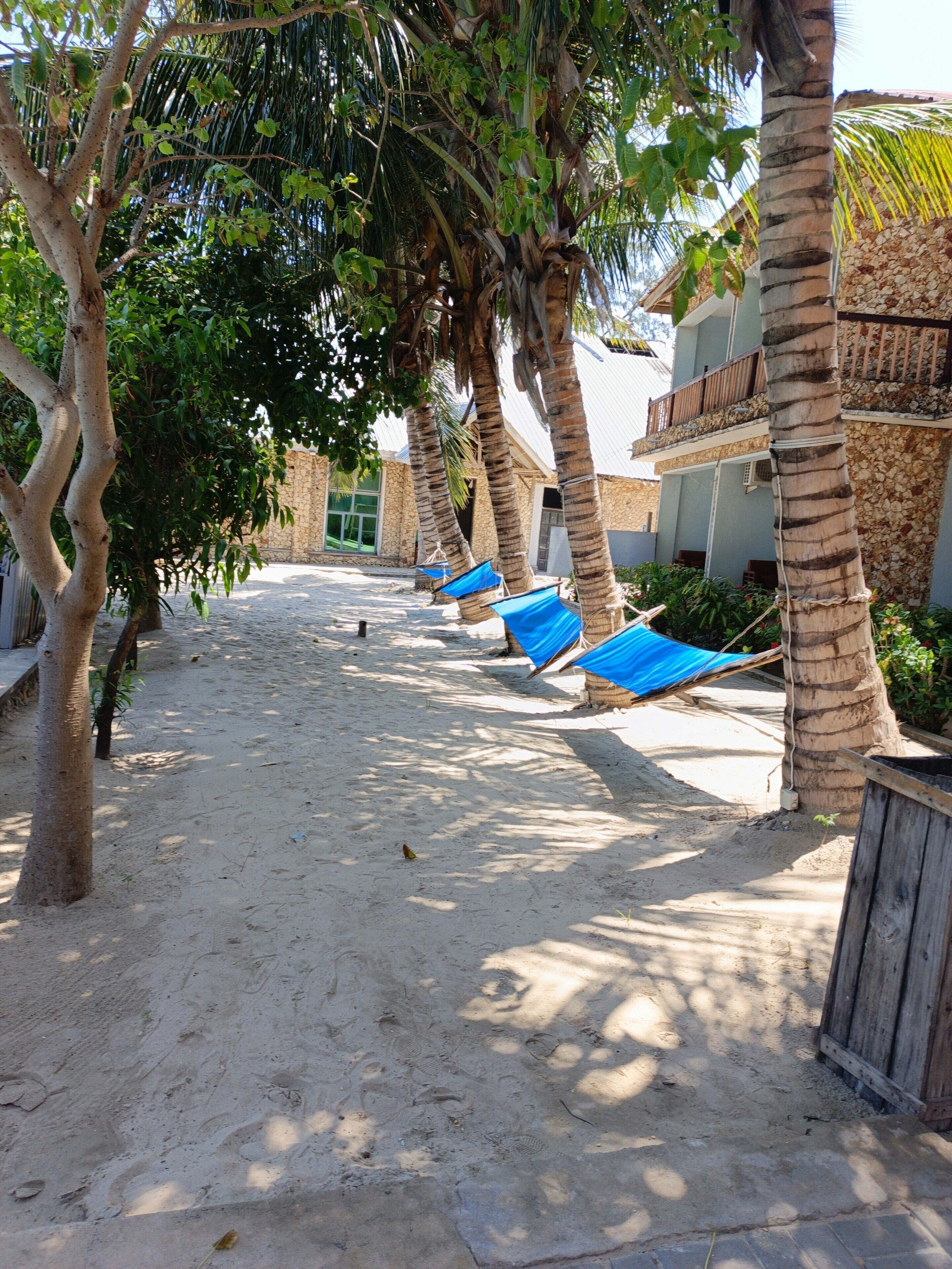 Photo - Serene Beach Resort