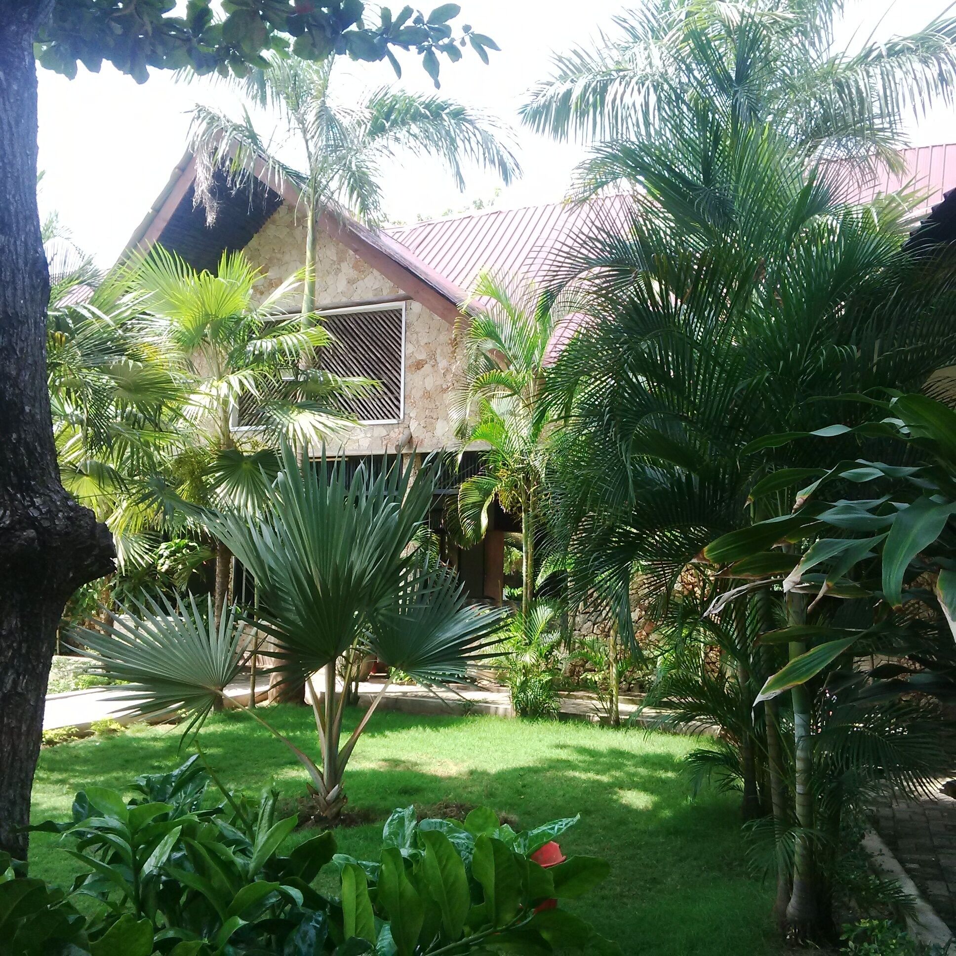 Children’s play area – outdoor