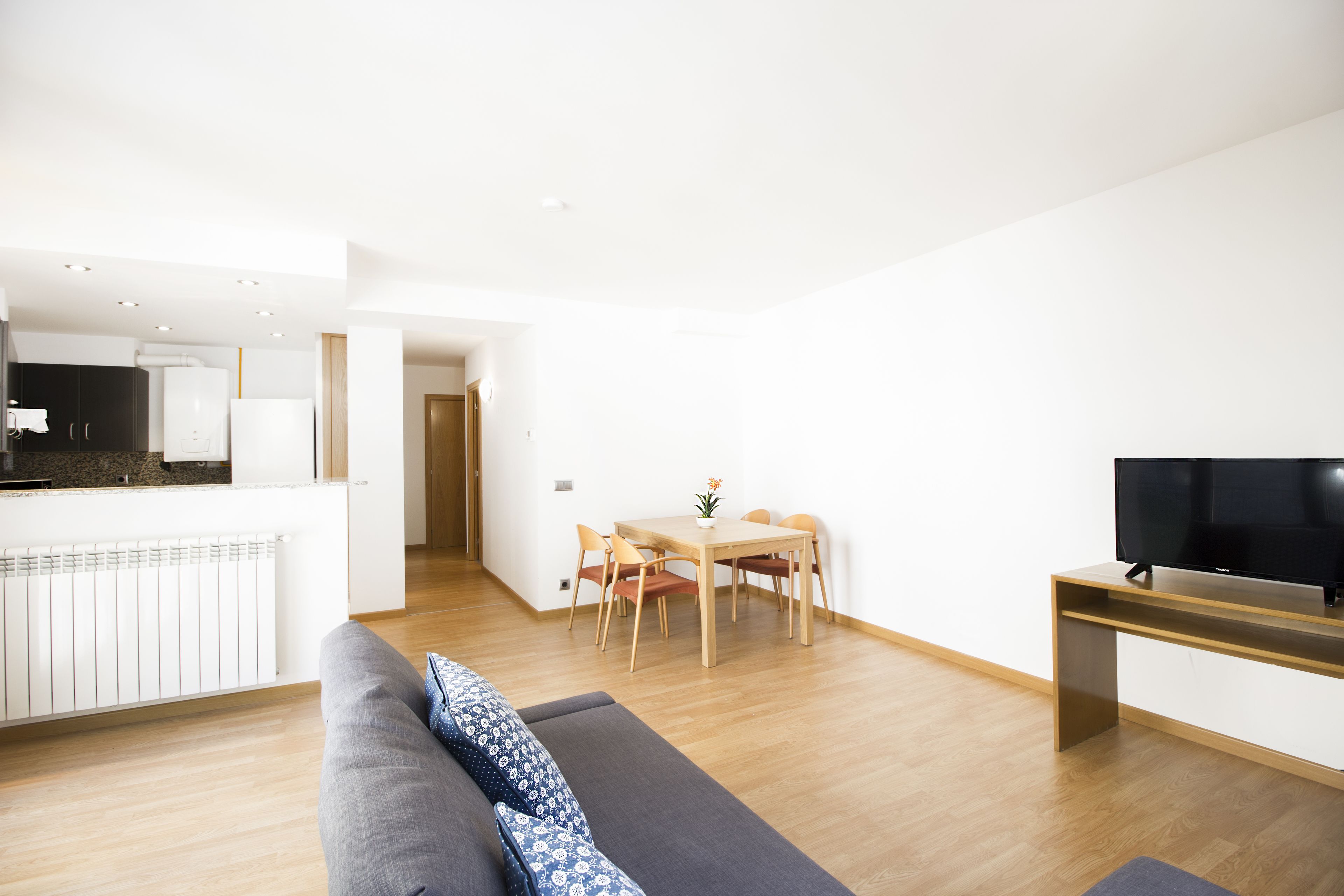 A modern living room with a sofa, a dining table with chairs, a TV on a stand, and a kitchen area with cabinets and a refrigerator.