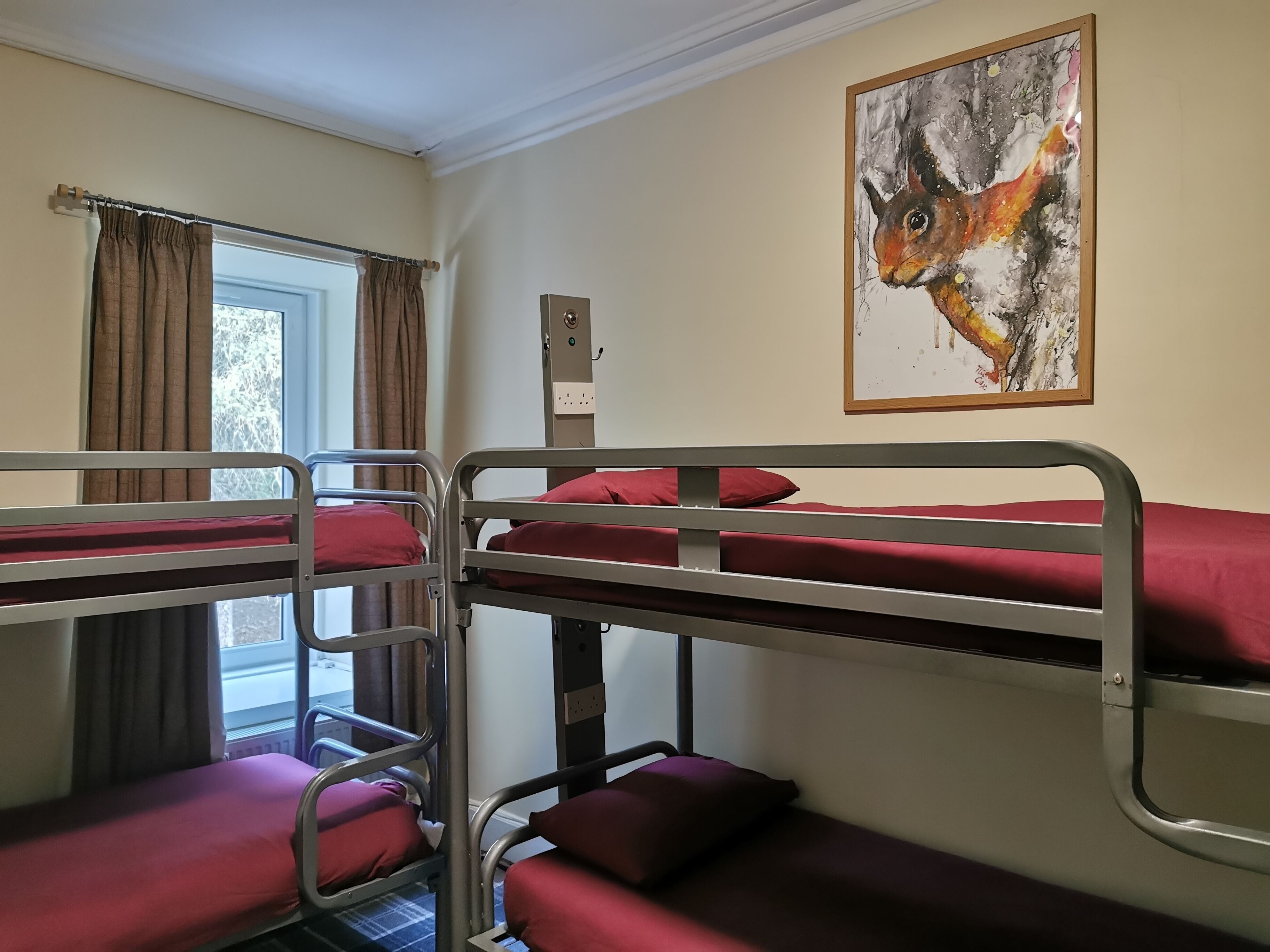 Une chambre de dortoir avec des lits superposés, une fenêtre avec des rideaux, un radiateur et un tableau accroché au mur.