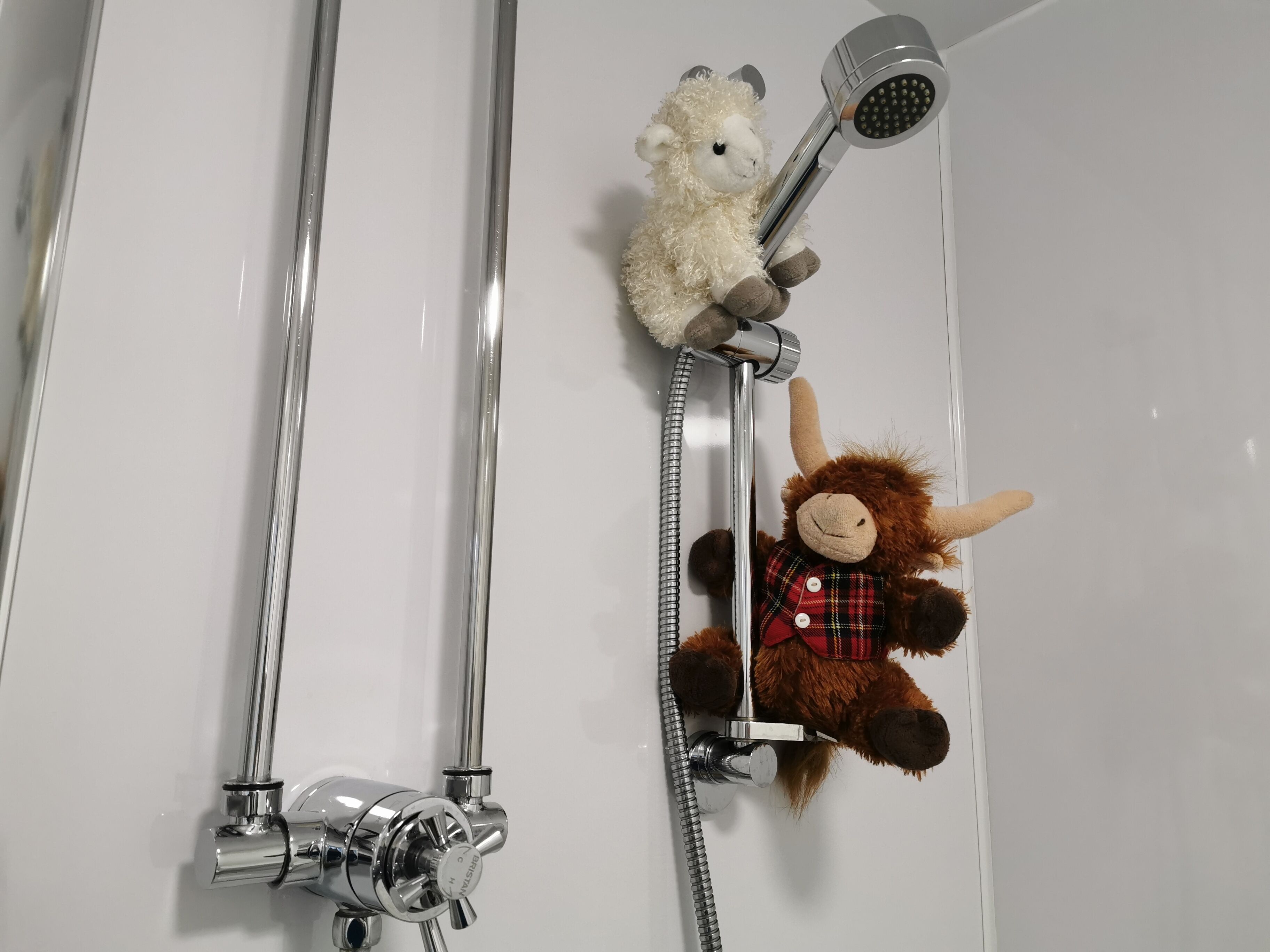 A shower area with a hose and a showerhead.