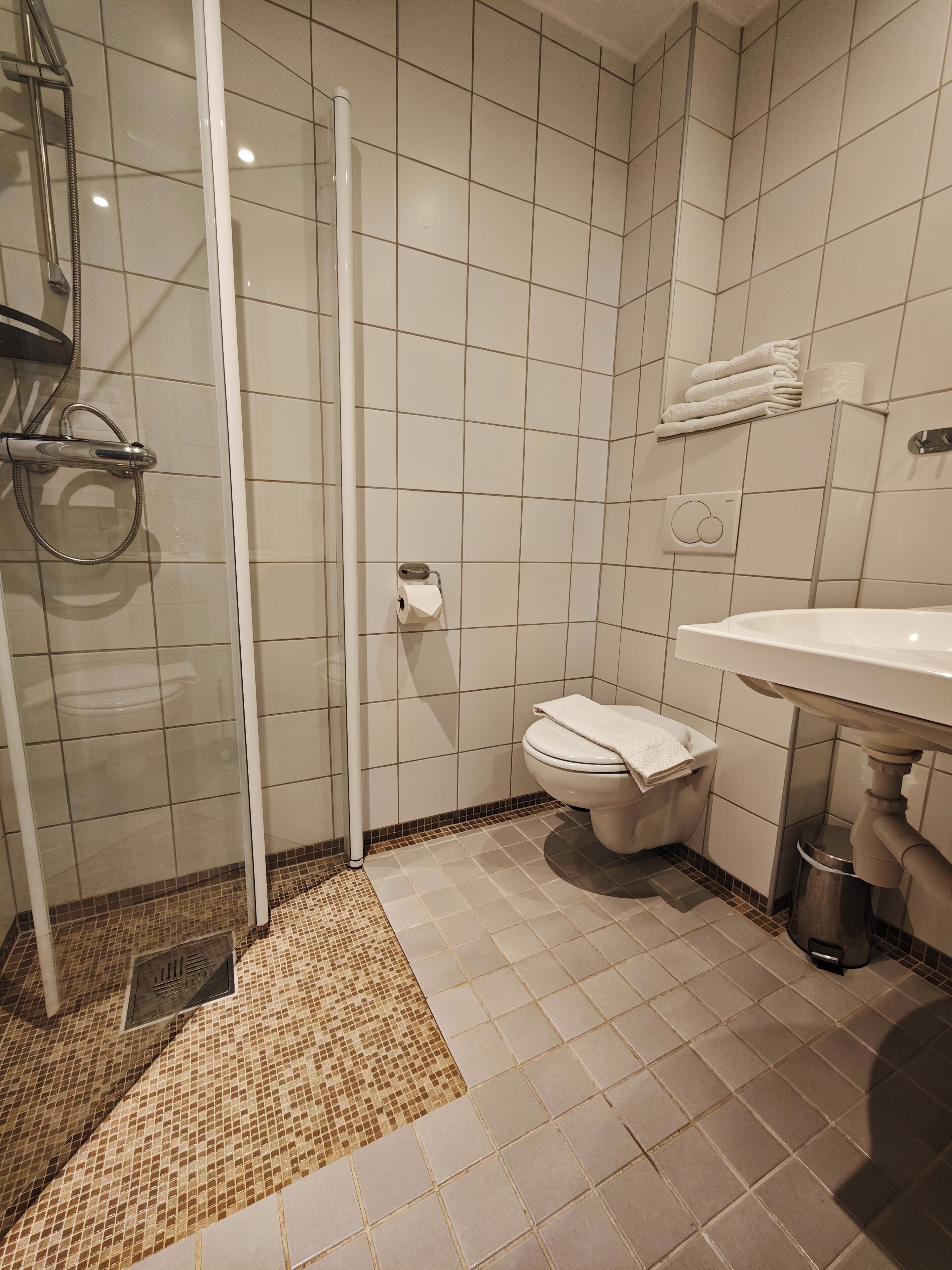 Een badkamer met douche, toilet en wastafel.