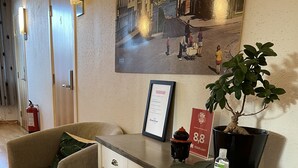 A hotel room with a desk, a chair, a potted plant, a framed welcome sign, and a fire extinguisher. - Gjestehuset Kristiansund (Kristiansund)