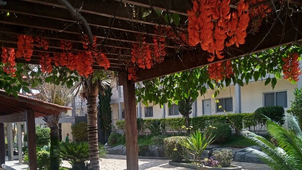 Un espacio de estar al aire libre techado, con piso de piedra y bancos de madera.