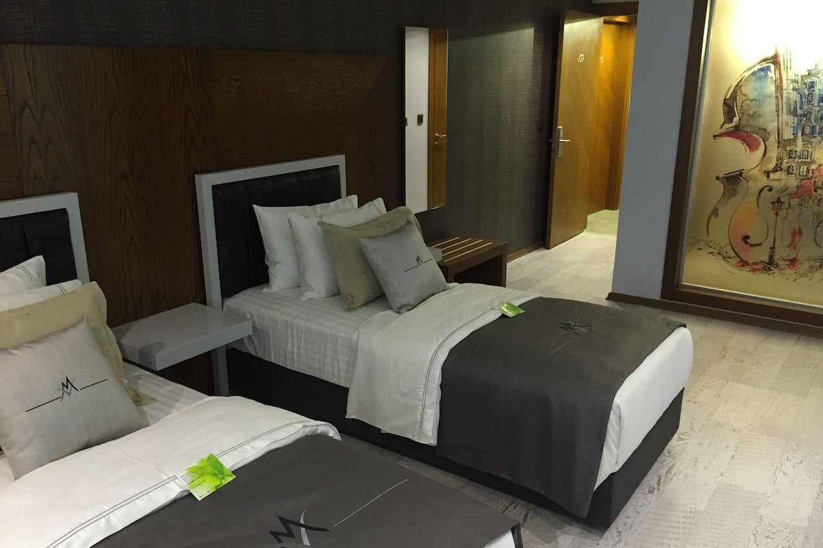 Business Room | Minibar, in-room safe, soundproofing, iron/ironing board