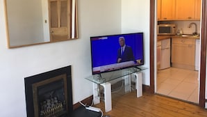 A living room with a television displaying a news broadcast, a fireplace, and a kitchen area visible through an open door.