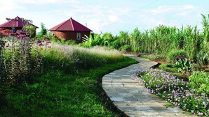 A pathway leading to a building with a red roof, surrounded by lush greenery and flowering plants. - Bugesera Lodge (Ntarama)