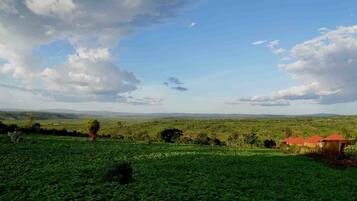 A rural landscape with a field of green crops, a few scattered trees, and a distant view of rolling hills under a partly cloudy sky.