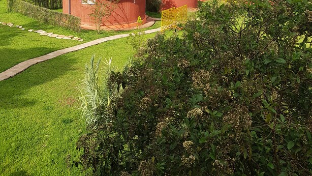 A rural landscape with red-roofed buildings, a grassy area, and a distant view of hills. - Bugesera Lodge (Ntarama)